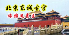 欧美日韩室外操逼视频中国北京-东城古宫旅游风景区